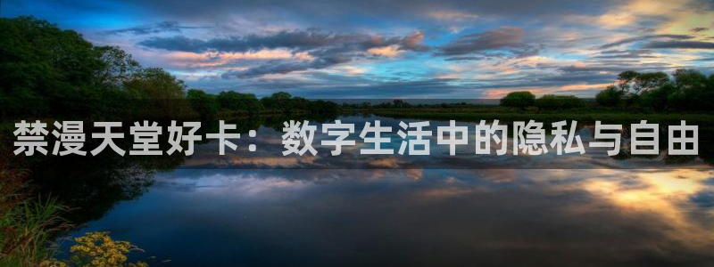 动漫共和国omofun：禁漫天堂好卡：数字生活中的隐私与自由