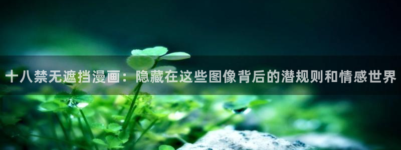 omofun正版官方链接：十八禁无遮挡漫画：隐藏在这些图像背后的潜规则和情感世界