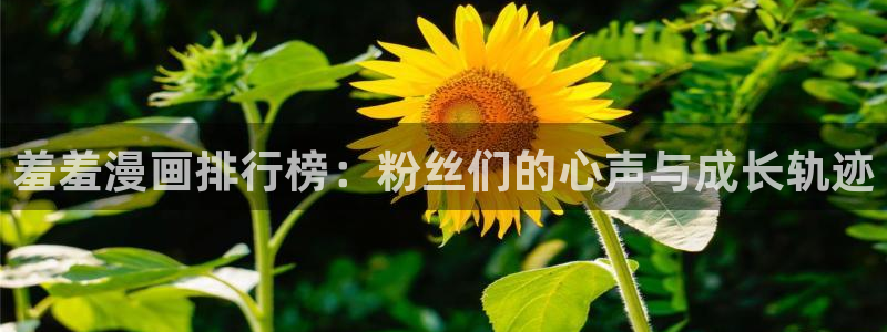 下载omofun动漫：羞羞漫画排行榜：粉丝们的心声与成长轨迹