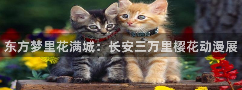 omofun在线：东方梦里花满城：长安三万里樱花动漫展