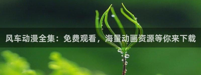 下载omofun动漫：风车动漫全集：免费观看，海量动画资源等你来下载